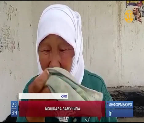 Жителей сразу трёх районов ЮКО атаковали мошки